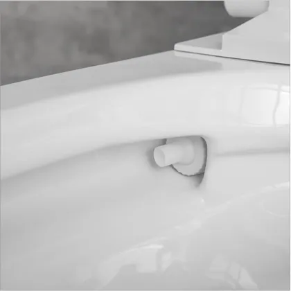 Mobile Intelligent Toilet for Five-Star Hotels