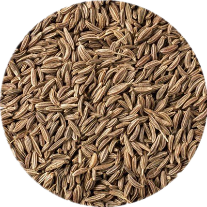 Natural Caraway Seed Extract