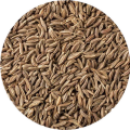 Natural Caraway Seed Extract