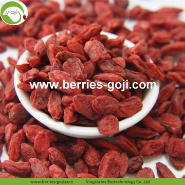 Factory Supply Healthy Dried Nutrition Goji