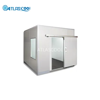 Best Ice Cream Chill Blast Freezer Room