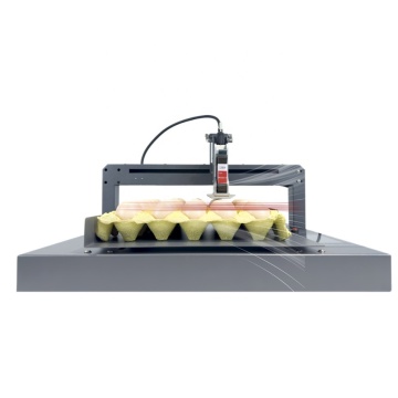 XY -Achse Palette Eggcode Drucker - Automatische Eier -Tintenstrahl -Codierungsmaschine