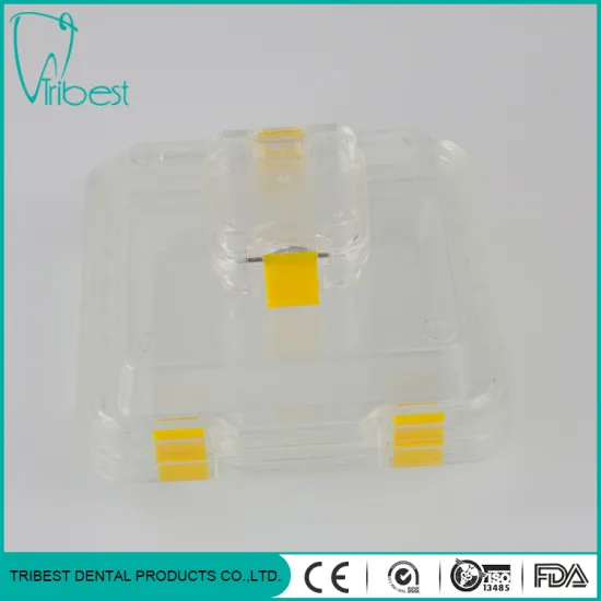 Clear Plastic Crown Transportation Box