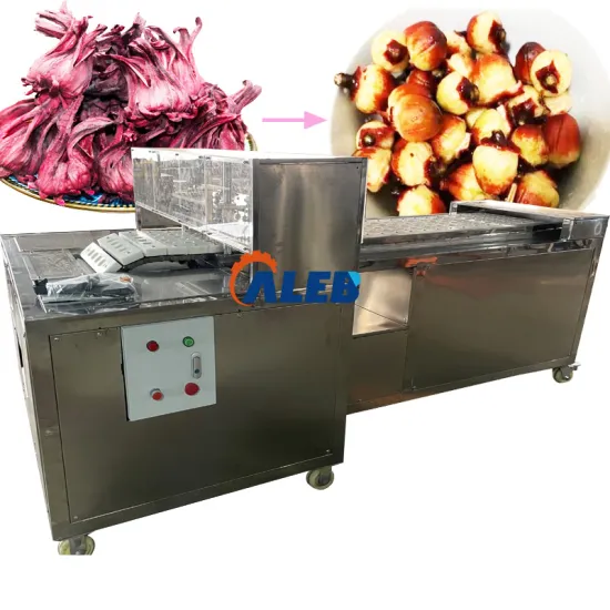 Olive Rosell Kernel Pitter: Advanced Fresh Olive Pitting Machine and Fruit Pitting Solutions