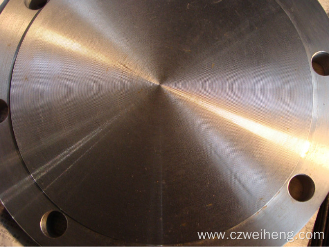 304/316L Sanitary Stainless Steel Pipe Flange