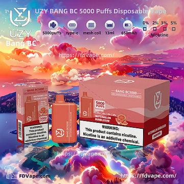 Original UZY BANG BC5K Puffs Vape Germany
