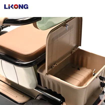 Smart Electric Tricycle for Mobility and Leisure