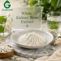 Ingrediente bloqueador de almidón con extracto de frijol blanco
