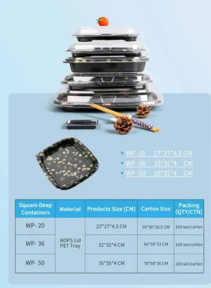 Recyclable Plastic Sushi Tray Sushi Box