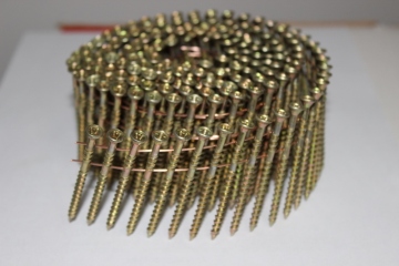 Wire Nail Collated Screw (Scrail, Nailscrew)