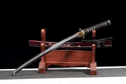 Dragon Soaring Four Seas Samurai Sword