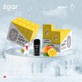 Asia Hot Sales disposable vape pen e-cigarette