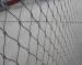 Netting 
