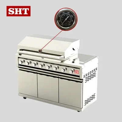 Natural Gas BBQ Grill with Oven