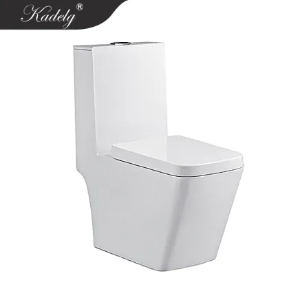 European Style Furniture Washdown Toilet