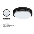 Ceiling Mount Lighting Black Metal Decrative Flush Mount LED Ceiling Lighting Manufactory