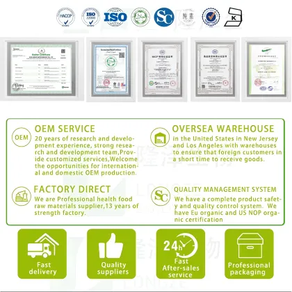 Pure Natural Organic Apple Juice Powder Apple Extract