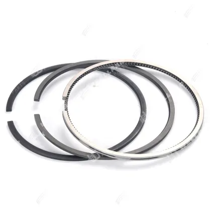 1.9L Diesel F8Q Clio R19 NPR Piston Rings for Renault Engine