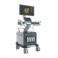 Hospital Trolley Color Doppler Ultrasound System For Breast