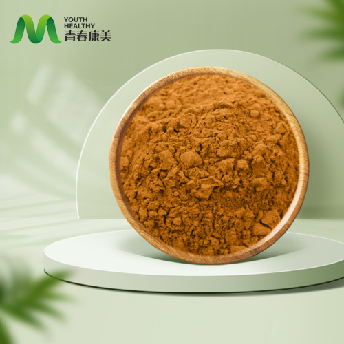 Висококвалитетни сцхисандра цхиненсис екстракт прашка