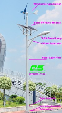 WPSRR-7702 3~15m Municipal Road Hot DIP Galvanized Steet Light Pole style