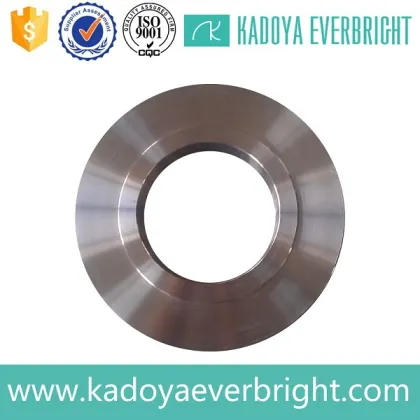 Best price customize stainless steel boss flange