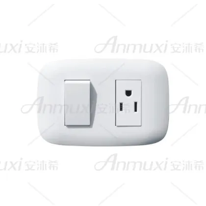 Electric One Switch Gang Socket