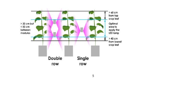 led grow light 1000w