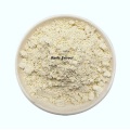 Buy Online CAS 8008-99-9 Garlic Extract Powder