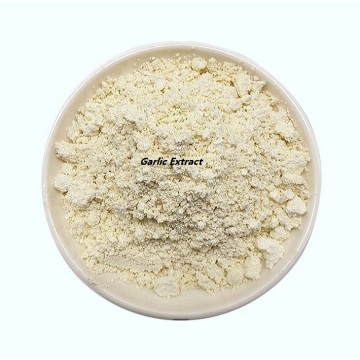 Buy Online CAS 8008-99-9 Garlic Extract Powder