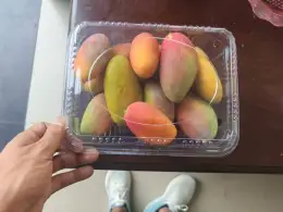 Fresh Mangoes