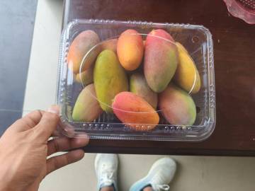 Fresh Mangoes