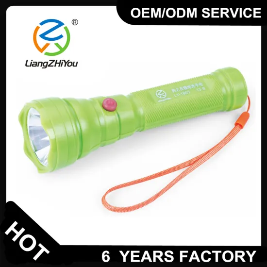 Novelty eco-friendly plastic cheap logo printed rechargeable led torch light