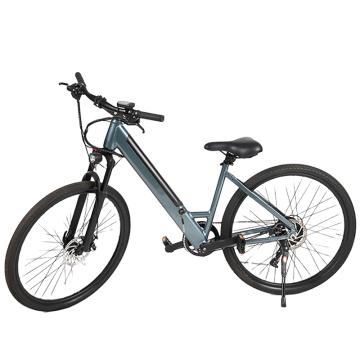Affordable 250W 36V 26Inch Electric Folding Bike