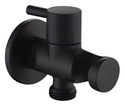 Polished Compression Angle Valve