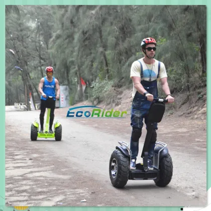 China off Road Electric Bicycle Electric Dirt Bike E-Bicycle