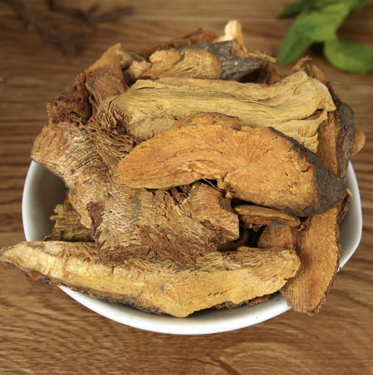 Knotweed Extract Supplier