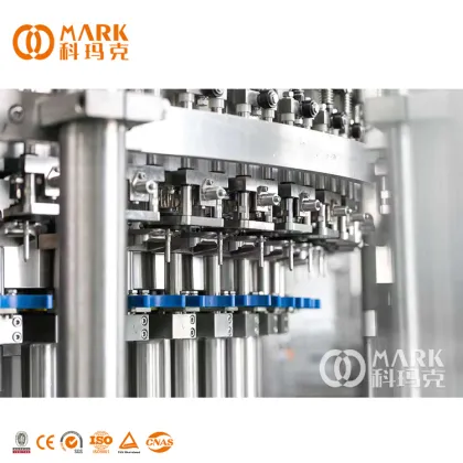 Full Automatic Water Treatment System for Carbonated Soft Drinks