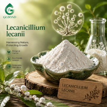 Lecanicillium Lecanii Entomopathogenic Fungal Ingredient