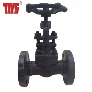 DN25 PN40 Oilfield Globe Control Valve dengan lukisan
