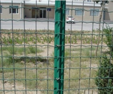 backyard metal welded fence