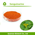 Macleaya Cordata-Extrakt-Pulver Sanguinarin 60%