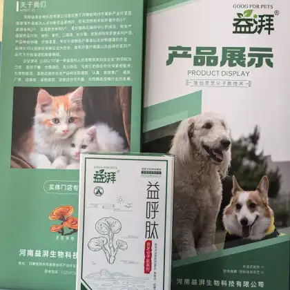 Dog rhinitis and sinusitis natural treatment