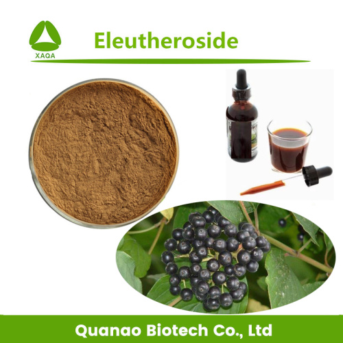 Soil Water Retainer Factory Siberian Ginseng Extract Eleutheroside Powder 0.8% Manufactory