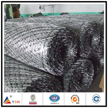 Mytext Low Price Concertina Hot Dipped Galvanized Razor Mesh