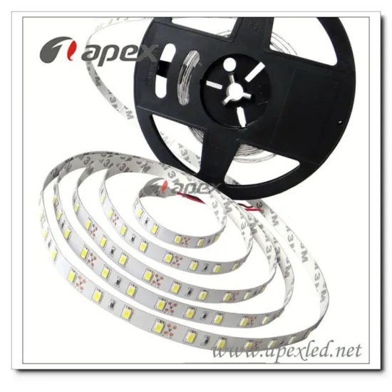 5630 warmwhite led roll light 12v 300pcs