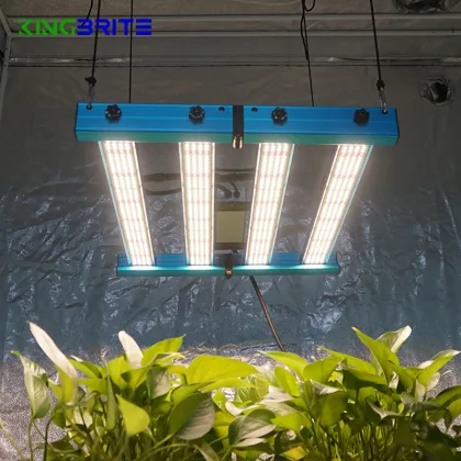 KingBrite 240W Samsung LM301H LED Grow Lights for Indoor Plants