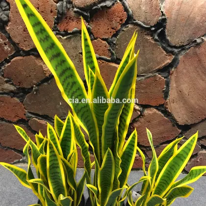 Hot sale artificial variegated mother in laws tongue, snake plant in pot