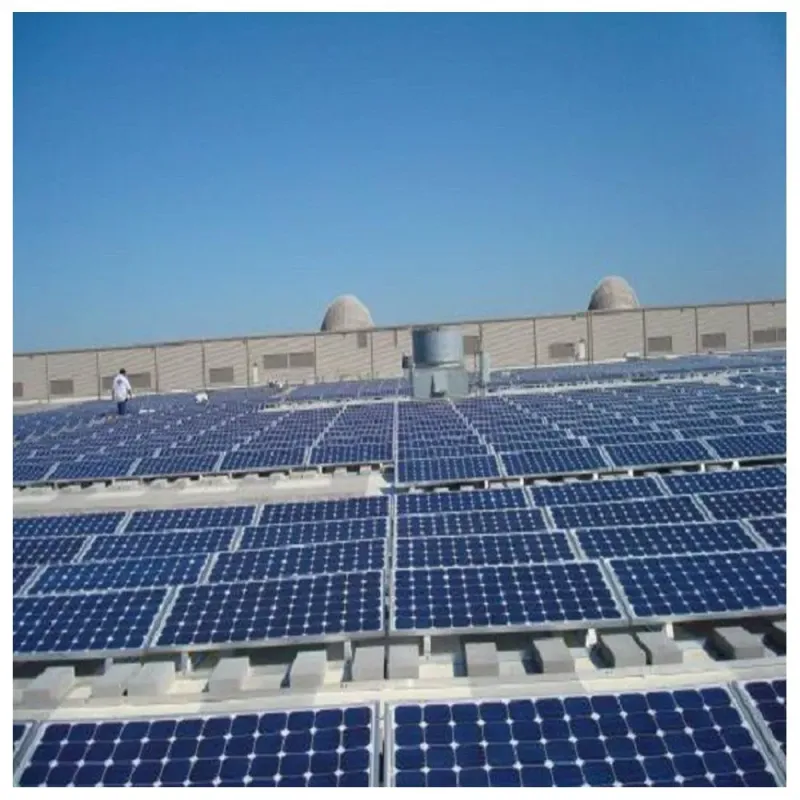 Ground Solar Energy Bracket PV Ground Mounting System with Ground Screw
