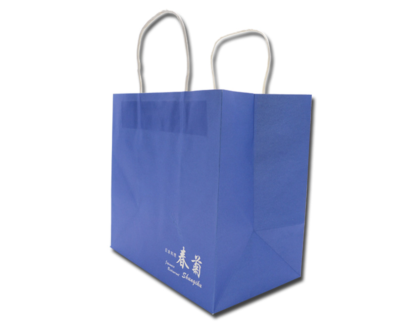 Paper gift bags with handle